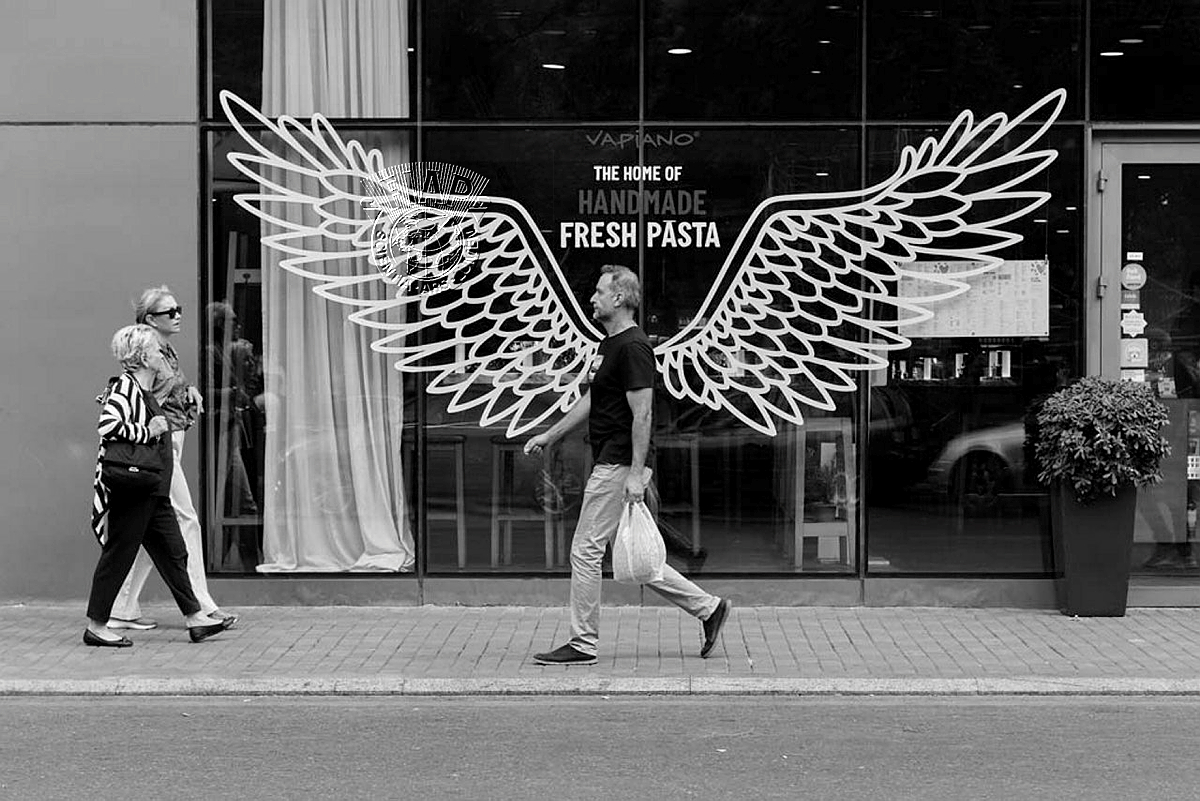 031_Aleksandr_Firstov_Wings of destiny.jpg
