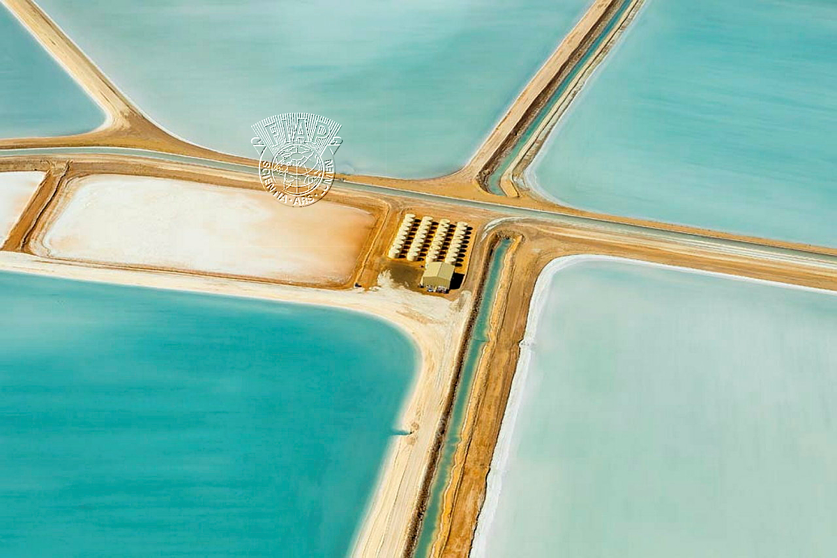 036_Elizabeth_Riley_Shark Bay Salt.jpg
