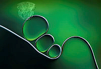 036_Jacqueline_Hammer_Shifting Shapes.jpg