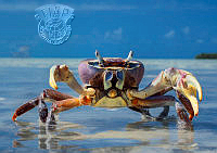 036_Karen_Willshaw_Give me a Hug.jpg