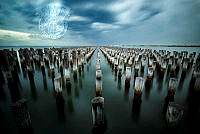 036_Stephen_Allworth_Blue Poles.jpg