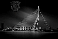 056_Jan_D'Aubioul_Erasmusbrug Rotterdam.jpg