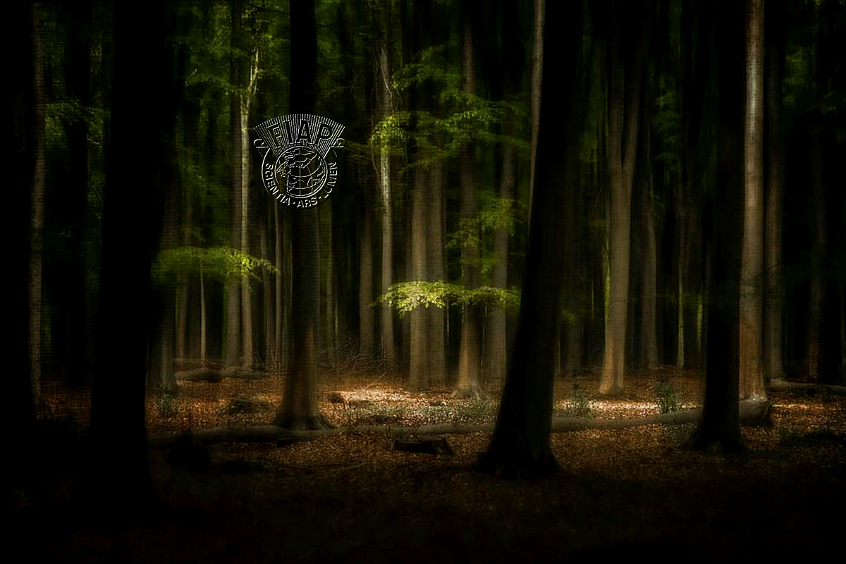070_Dusan_Vukovic_An oasis of ligt.jpg