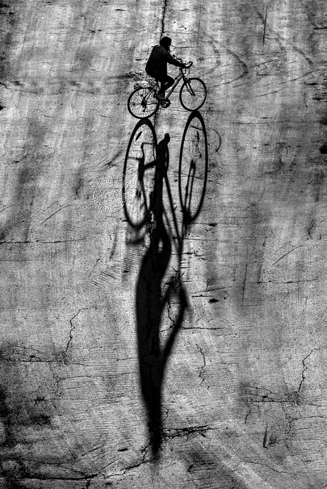 070_Sasa _Knezic_Shadow.jpg