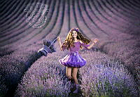 100_Maria_Todorova_Marcheva_Bulgarian Lavender Rhapsody.jpg