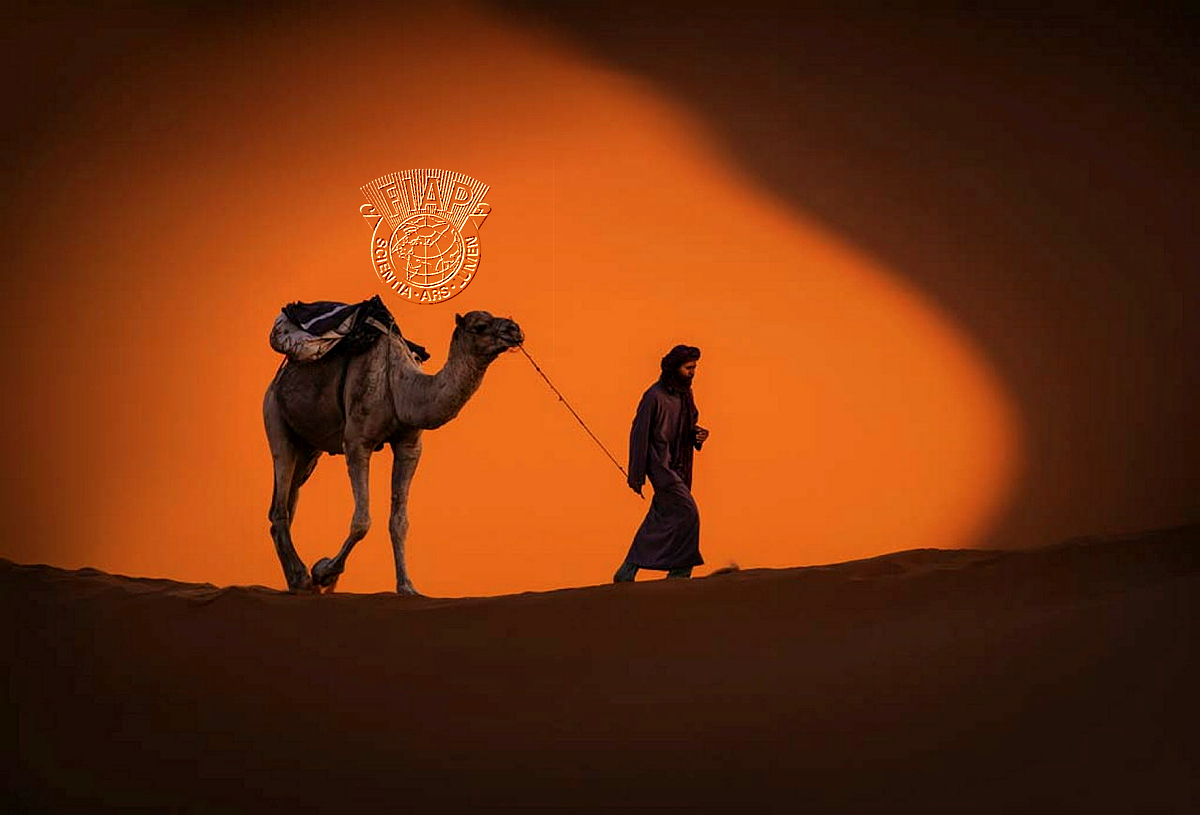 100_Minko_Mihaylov_Man and camel.jpg
