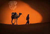 100_Minko_Mihaylov_Man and camel.jpg