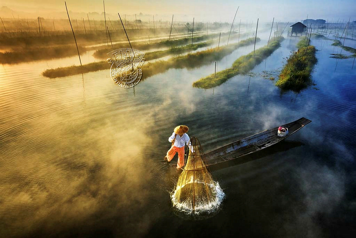 104_Lin_Zay Yar_Sun is Up, Nets Out.jpg