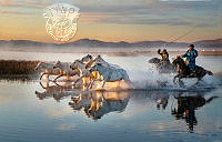 124_Phillip_Kwan_Horses in Water 95.jpg