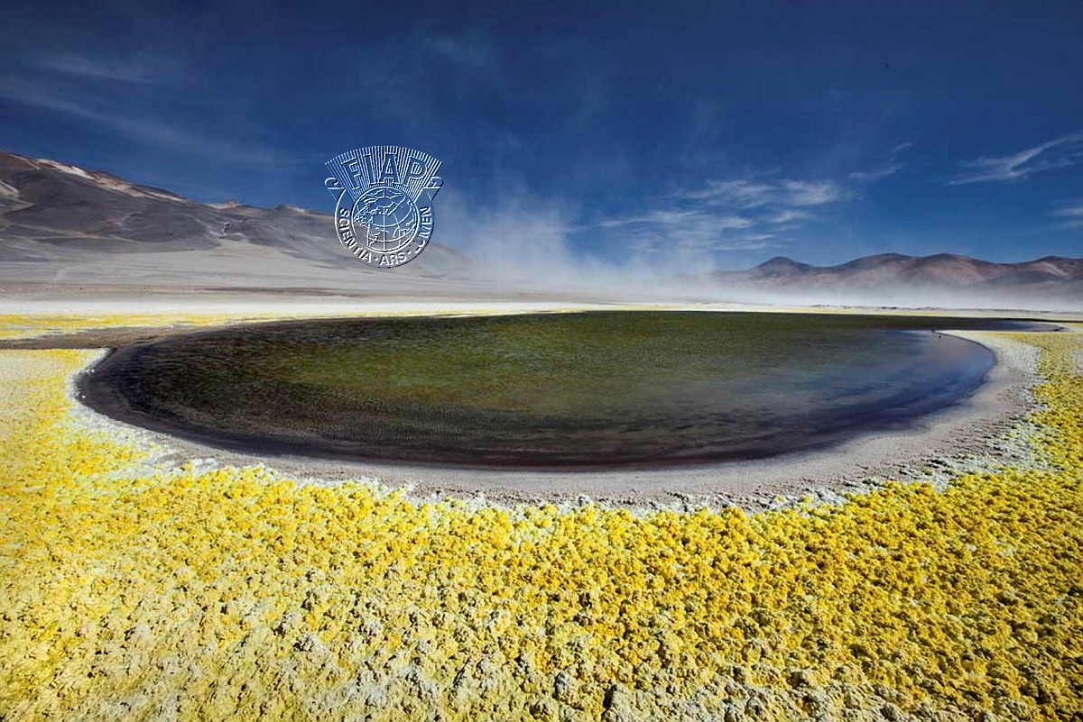 152_Diana_Wagner_Lagoon in Salar.jpg