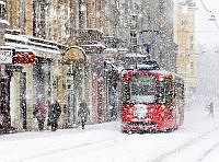 191_Jasmina_Gorjanski_Red tram.jpg