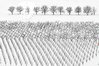 2162_Anatolie_Poiata_Winter trees.jpg