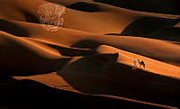 2220_Mohammed_AlAli_Middle of Desert.jpg
