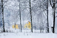 246_Lassi_Tuominen_Yellow House.jpg