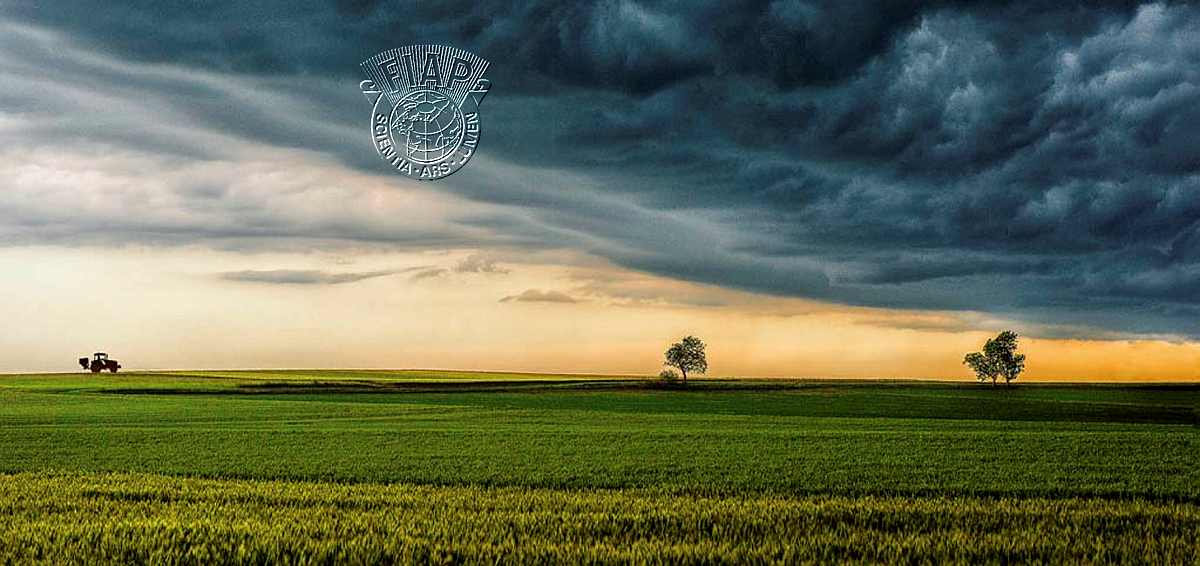 250_Jean-Claude_Delon_Avant l'orage.jpg