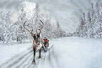 250_Jean_Banq_Balade en Laponie.jpg