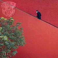 250_Marianne_Doz_Les marches rouges.jpg