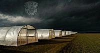 276_Hans_G_nther_Greenhouses.jpg