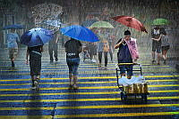 344_Mei Ling_YIU LEE_A Rainy Day.jpg