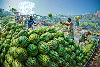 344_Yuen_Yam_Au_Watermelon Works.jpg