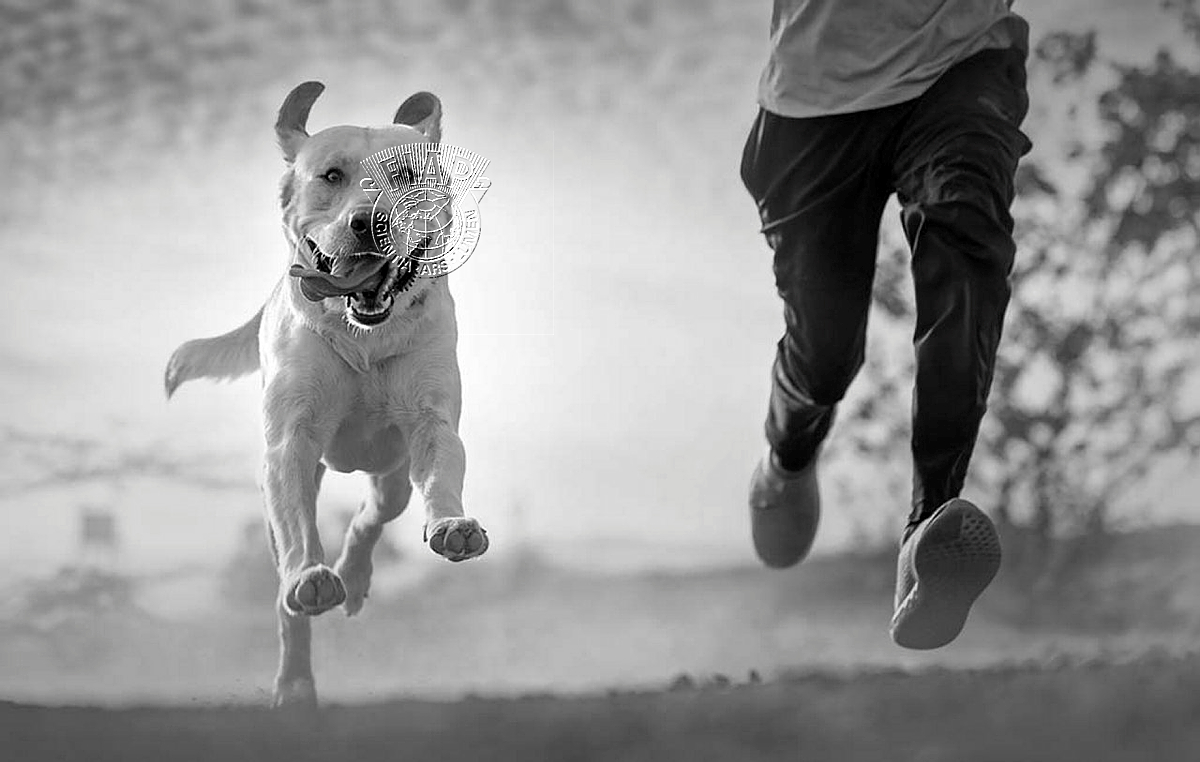 356_GANESH_MEMANE_ENJOYING DOG.jpg