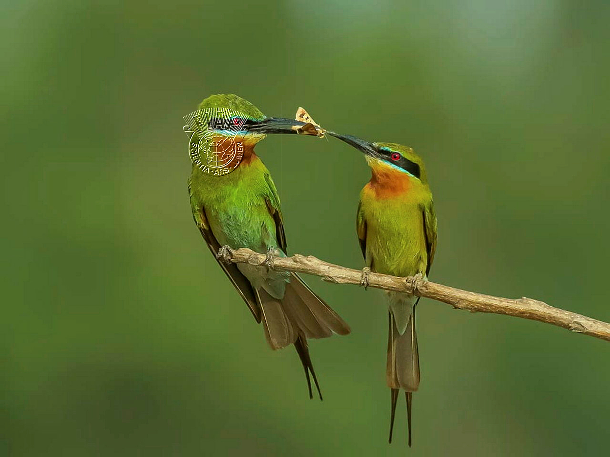 356_Pratik_Chaudhury_Love with mate 2650.jpg