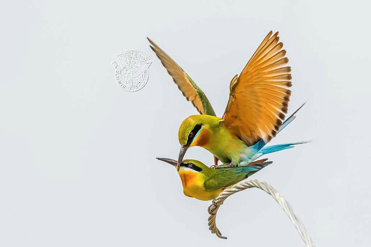 356_Ranjana_BalachandraPai_Colorful Couple.jpg
