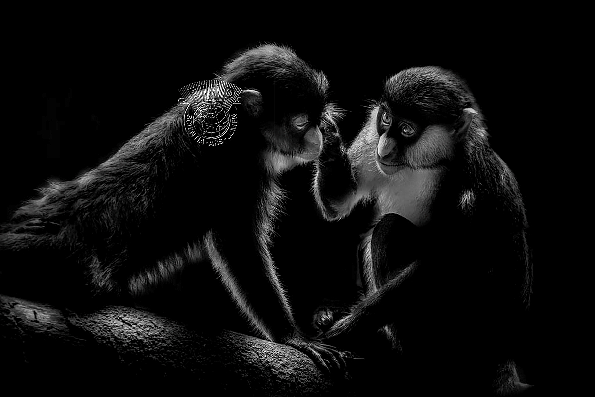 360_Ester_Suryawati_Comforting a sad friend.jpg