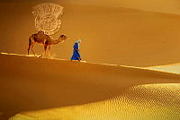 360_J. Teguh Widjaja_A TRAVELLER IN THE DESERT.jpg