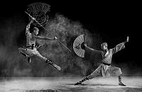 360_Rubby Adhisuria_Shaolin fighting.jpg
