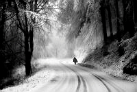 380_Franco_Stocchi_paesaggio invernale.jpg
