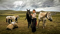 380_Marco_Misuri_Taking care of the horses.jpg