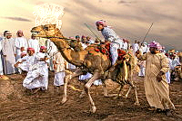 380_Montini_Giulio_Camel race 2.jpg