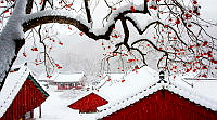 410_Bongok_Namkoong_Snow in Temple.jpg