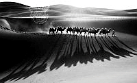 446_Va_Vong_Desert camel trail.jpg