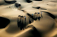 512_MOHAMMED ALSHUAILI_Desert.jpg
