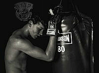 554_Kirsty_Wilson_My Little Boxer.jpg