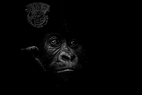 578_Gaute_Froeystein_The thinker.jpg