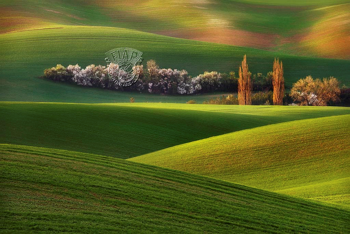 616_GRZEGORZ_LEWANDOWSKI_MORAVIAN_HILLS.jpg