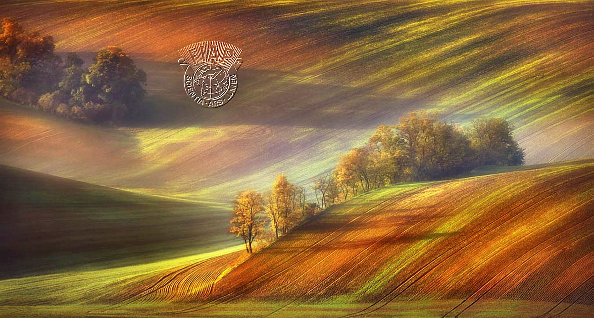 616_GRZEGORZ_LEWANDOWSKI_MORAVIAN_MORNING.jpg