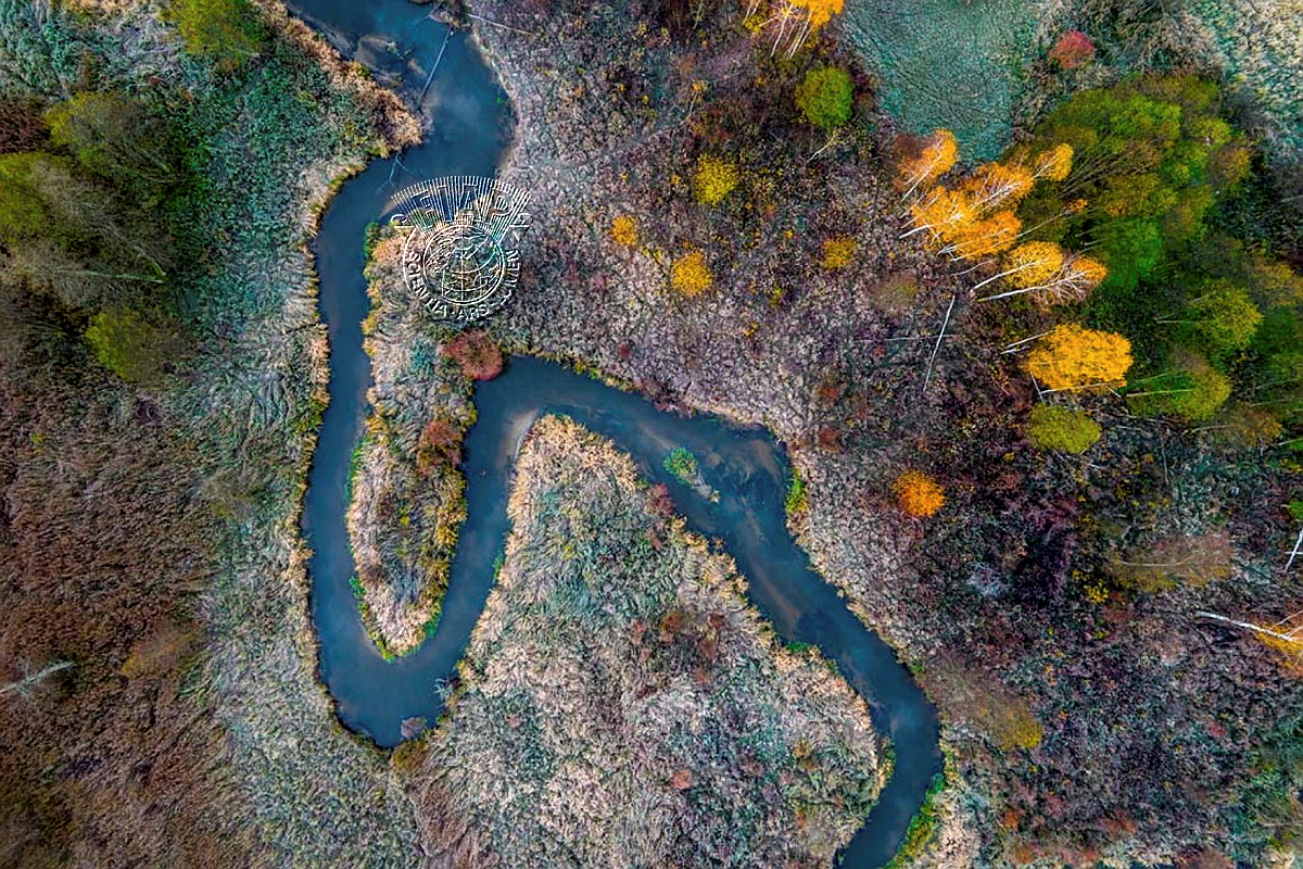 616_Maciej_Jóźwiak_Yellow trees.jpg