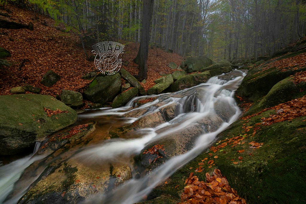 616_Radoslaw_Pelisiak_autumn cascade.jpg