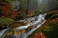 616_Radoslaw_Pelisiak_autumn cascade.jpg