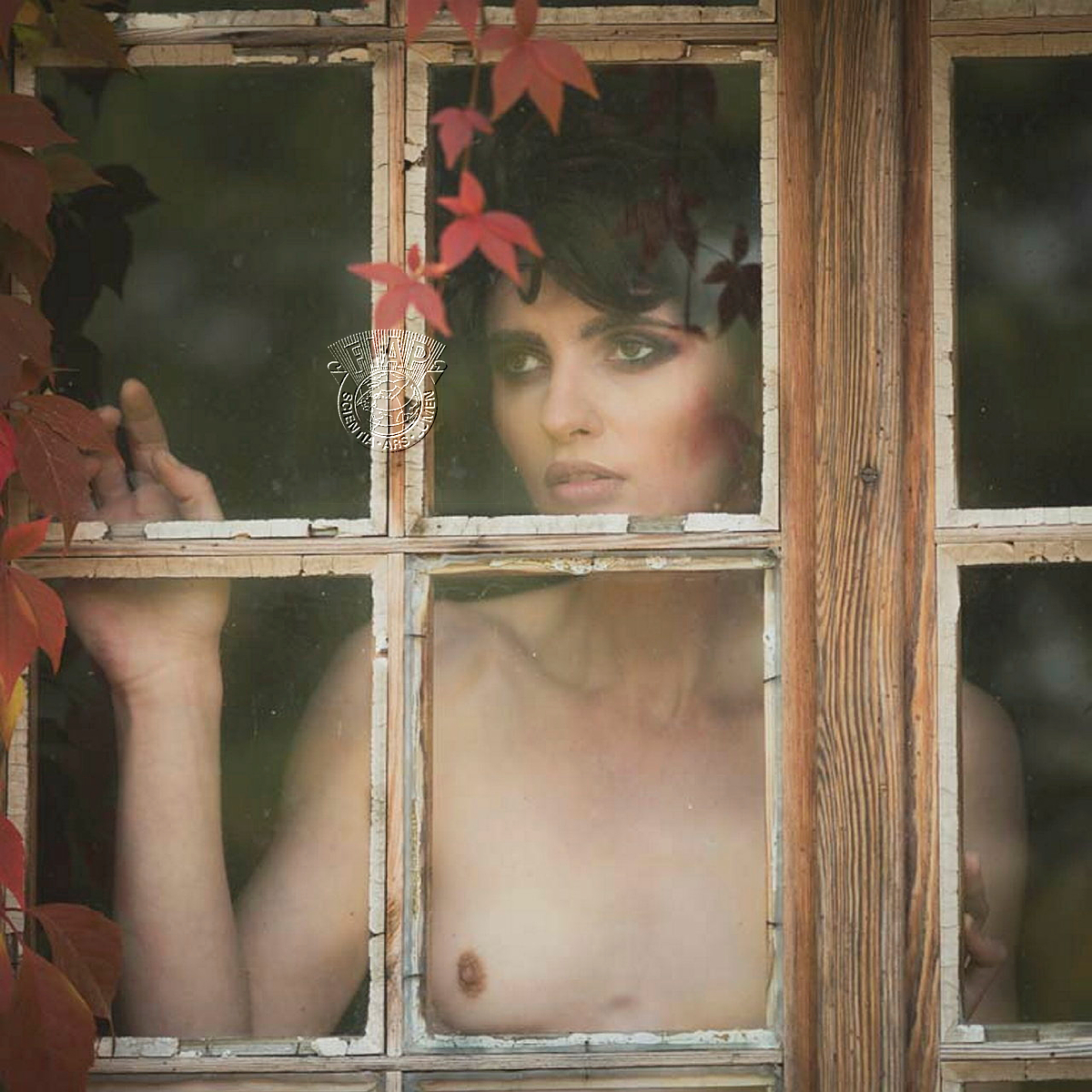 616_Tomasz_Pisarski_Longing.jpg