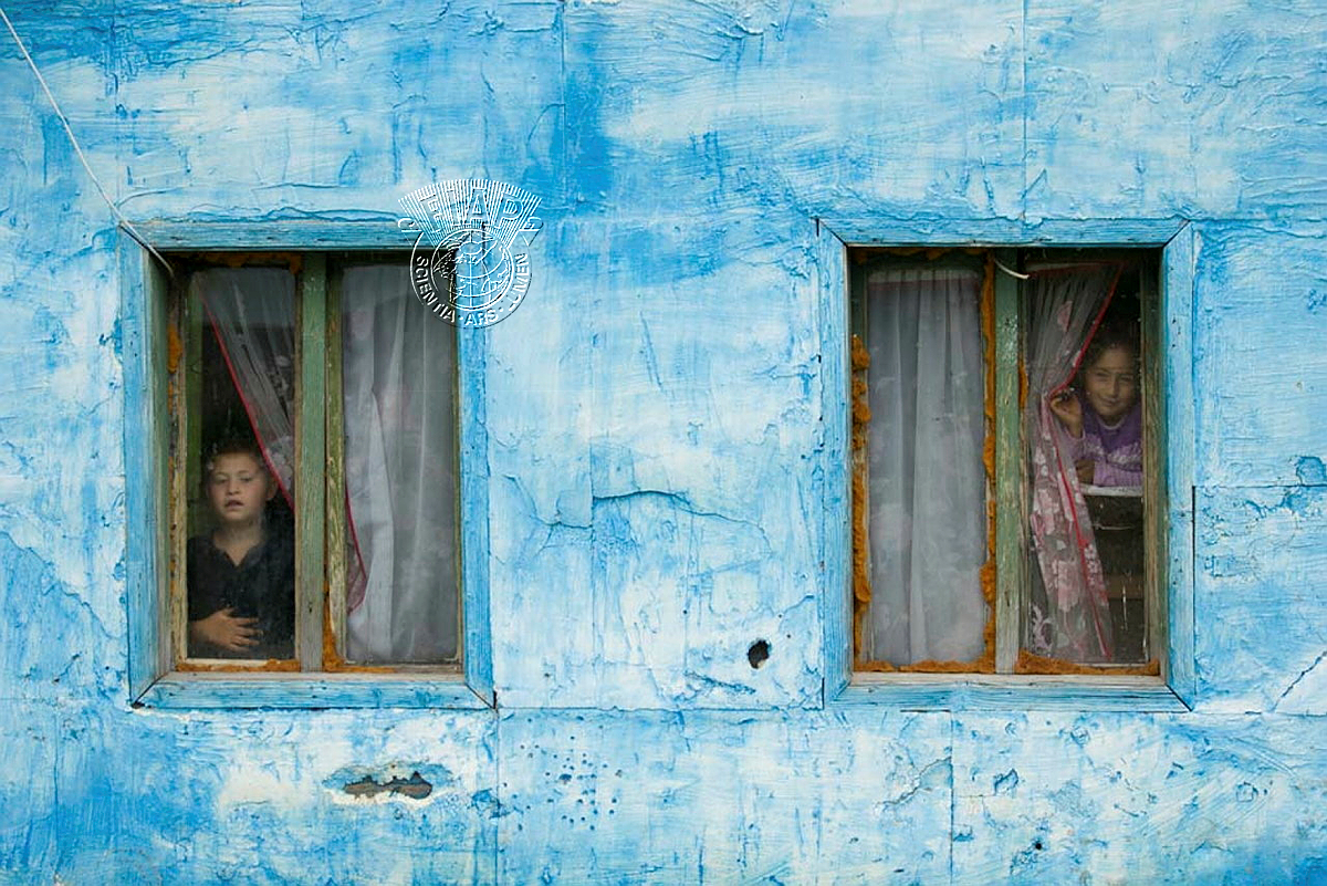 642_Attila Nandor_Hago_Looking out.jpg