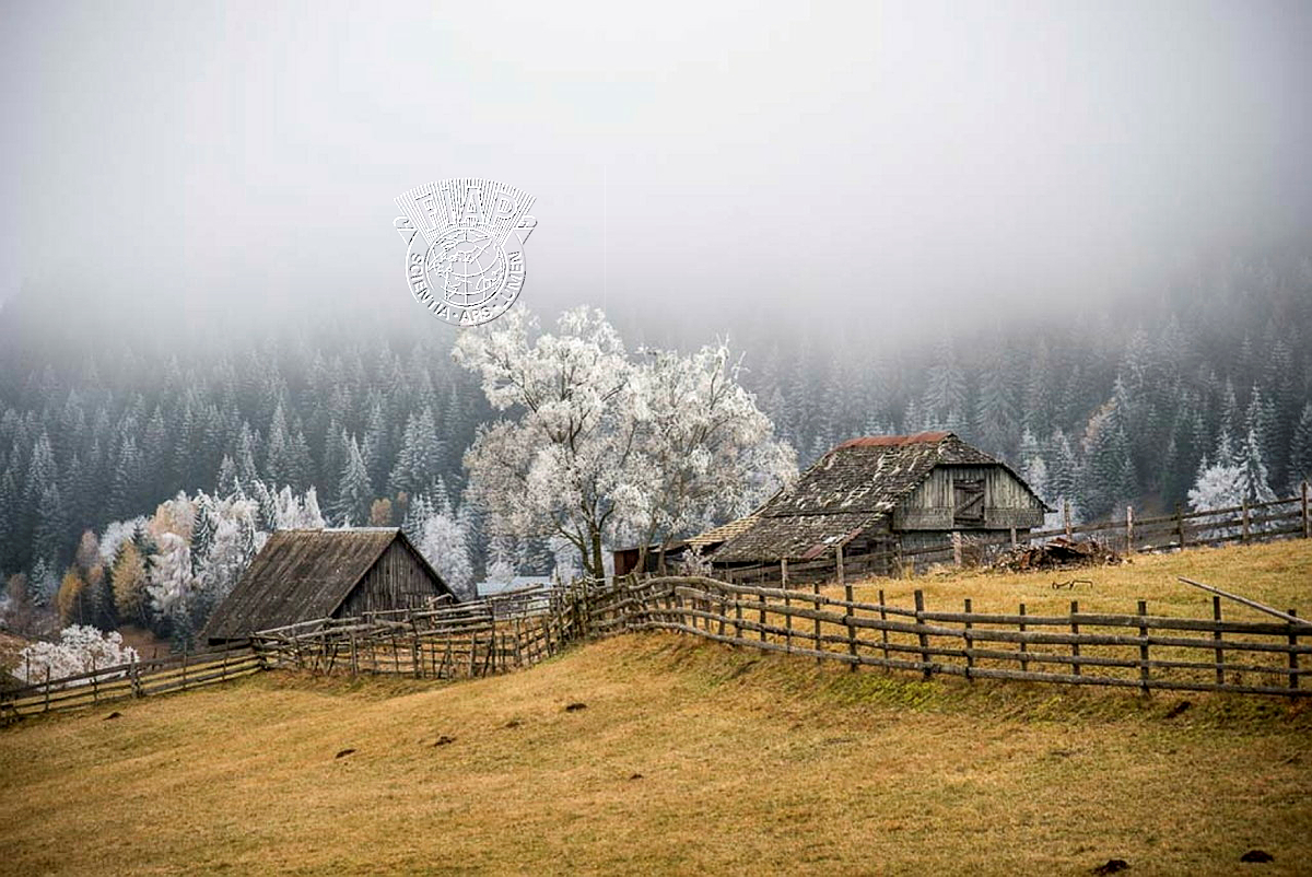 642_Hajnal_Pataki_First Frost.jpg