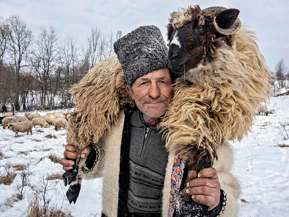 642_Marian_Plaino_THE SHEPHERD.jpg