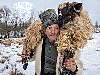 642_Marian_Plaino_THE SHEPHERD.jpg