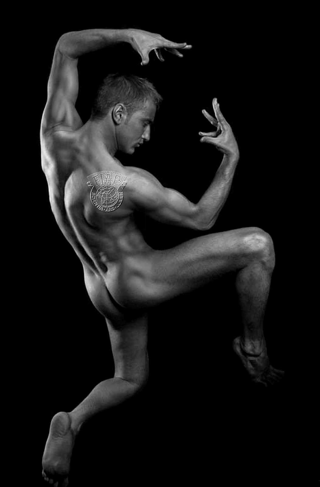 642_Radu_Stanese_Gesture.jpg