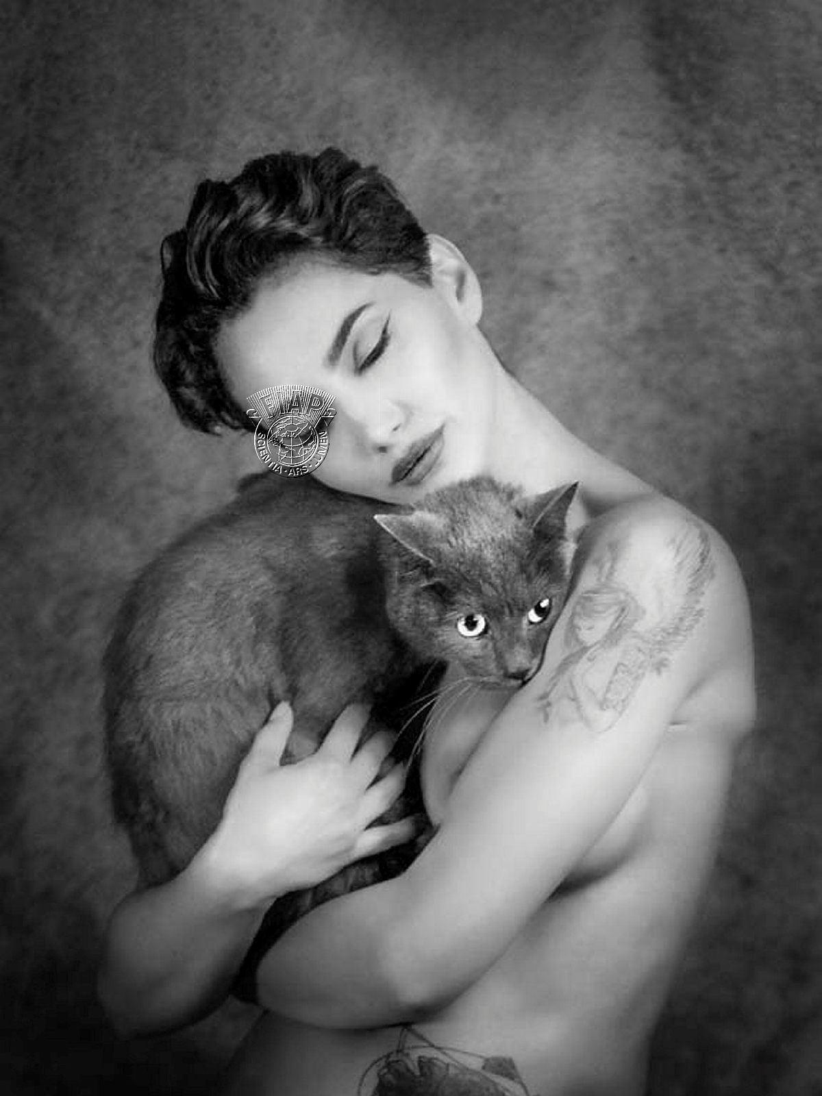 642_Rucsandra_Calin_Feline petting.jpg